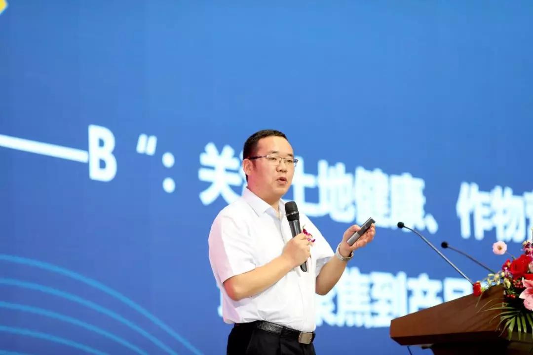 FB体育平台-胶州象征引援转正，谋求战略高地冲击对手